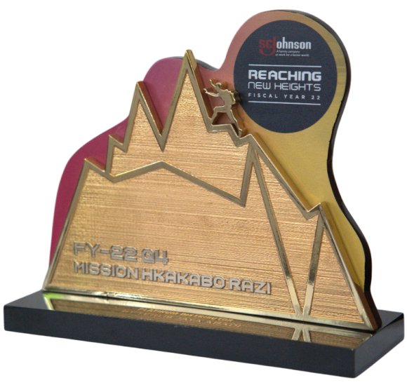 Johnson Home Hygiene Products